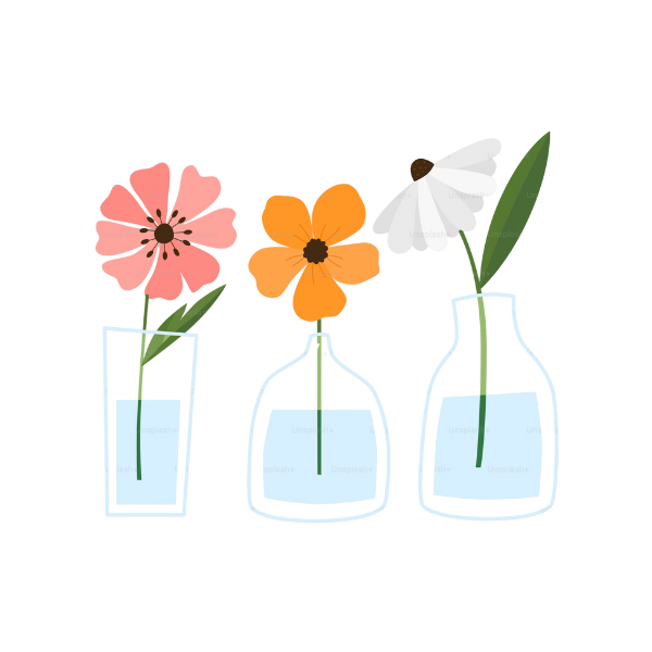 Natural healing and homeopathy services